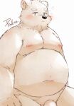 10_cosmo_24 2022 anthro belly big_belly black_nose blush genitals hi_res kemono male mammal moobs navel nipples overweight overweight_male penis polar_bear simple_background solo ursid ursine white_background 