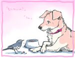  2011 ambiguous_gender avian bird bowl canid canine canis collar container dog_food domestic_dog duo feral japanese_text mammal pet_food soukosouji text translation_request 