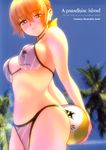  bikini dead_or_alive ebina_souichi kasumi swimsuits 