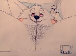  anthro areola breasts bredlaybagordh canid canine canis close-up domestic_dog drugs female fur genitals group human macro mammal marijuana micro nude olannah pillow pubes pussy red_eyes spread_legs spreading traditional_media_(artwork) white_body white_fur 