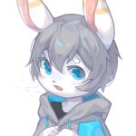  1:1 2021 ahoge ambiguous_gender anthro black_clothing black_nose black_shirt black_topwear blue_eyes circle_eyebrows clothing digital_media_(artwork) digital_painting_(artwork) emolga_1_(artist) eye_glint eyebrows fur grey_clothing grey_hair grey_hoodie grey_topwear hair hi_res hoodie kemono looking_at_viewer open_mouth pink_inner_ear portrait shaded shirt solo striped_ears topwear triangle_nose white_body white_ears white_eyebrows white_fur 