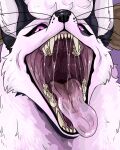  absurd_res ambiguous_gender black_body black_ears black_fur black_lips black_nose black_sclera bodily_fluids canid cheek_tuft facial_tuft fangs front_view fur glistening glistening_eyes glistening_nose hair hi_res imperatorcaesar inner_ear_fluff lips looking_at_viewer mammal mouth_shot open_mouth pink_body pink_eyes pink_fur pink_hair pink_inner_ear pink_inner_ear_fluff purple_background saliva saliva_on_tongue saliva_string simple_background solo tuft 