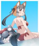  1girl animal_costume animal_ear_fluff animal_ears bikini blush drias fox_ears fox_girl fox_tail grey_hair highres island_fox_(kemono_friends) kanihai kemono_friends kemono_friends_v_project long_hair looking_at_viewer multicolored_hair open_mouth red_bikini ribbon simple_background smile solo swimsuit tail twintails virtual_youtuber yellow_eyes 