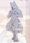  anthro balls canid canine canis fur genitals grey_body grey_fur hi_res kemono_michi:_rise_up male mammal penis rookie_bear shower showering solo steam tile tile_wall touching_chest wall_(structure) wet wet_body wolf wolfgang_von_kraftman yellow_eyes 