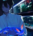  1boy aquarium bangs blue_eyes closed_mouth collared_shirt expressionless hair_between_eyes holding indoors keo_(oketa99) long_sleeves male_focus original shirt solo upper_body white_shirt 