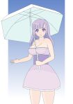  dead_or_alive fiona_(doa) highres looking_at_viewer parasol purple_eyes purple_hair solo umbrella winet 