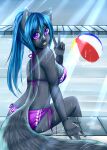  2013 anthro ball beach_ball bikini blue_hair clothing female fur gesture grey_body grey_fur hair inflatable jeanette_(xelaaredn) looking_at_viewer mammal mephitid purple_eyes skunk snow-mishibari solo swimming_pool swimwear v_sign wet 