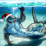  abs anthro bgn biceps christmas christmas_clothing christmas_headwear clothing fish genitals hat headgear headwear hi_res holidays lamniform looking_at_viewer male marine muscular muscular_anthro muscular_male nipples nude pecs penis santa_hat shark smile solo thresher_shark underwater water 