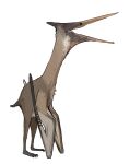  ambiguous_gender brown_body feral folded_wings foulserpent hi_res open_mouth pterosaur reptile scalie solo wings 