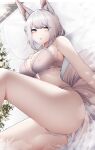  1girl absurdres animal_ear_fluff animal_ears ass azur_lane bare_arms bare_legs bed bed_sheet blue_eyes bra breasts covered_nipples fox_ears highres kaga_(azur_lane) lying medium_breasts on_back panties parted_lips pillow samip sideboob sidelocks solo tail thighs underwear underwear_only white_bra white_hair white_panties window 