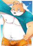  2022 absurd_res anthro belly big_belly blush bodily_fluids bulge canid canine canis clothed clothing clothing_lift cloud domestic_dog hi_res humanoid_hands kemono male mammal moobs nipples outside overweight overweight_male shirt shirt_lift solo sweat takkusk topwear underwear 
