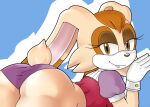  aerth anthro big_butt brown_eyes butt clothing female lagomorph leporid looking_at_viewer mammal panties rabbit sega solo sonic_the_hedgehog_(series) underwear vanilla_the_rabbit 