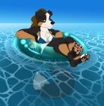  2022 4_toes 5_fingers absurd_res anthro barefoot bernese_mountain_dog bernie_sennenhund bikini bikini_top black_body black_fur black_nose breasts brown_body brown_fur canid canine canis chest_tuft claws cleavage clothed clothing crossed_legs digital_media_(artwork) domestic_dog feet female finger_claws fingers floating fur hair hi_res hindpaw humanoid_hands inflatable inner_tube looking_at_viewer mammal molosser mottled mottled_pawpads mountain_dog multicolored_body multicolored_fur oli_snowpaw pawpads paws pink_pawpads relaxing smile solo swimming_trunks swimwear swiss_mountain_dog toe_claws toes tuft water white_body white_fur 