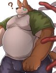  2022 5_fingers anthro belly biceps black_eyes bulge canid canine clothed clothing eyebrows fingers fully_clothed fur green_clothing green_shirt green_topwear male mammal multicolored_body multicolored_clothing multicolored_fur multicolored_shirt multicolored_topwear nullraihigi overweight overweight_anthro overweight_male pupils question_mark red_tentacles shirt simple_background tentacles topwear two_tone_body two_tone_clothing two_tone_fur two_tone_shirt two_tone_topwear white_background white_pupils 