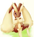 1girl :&lt; animal_ears animal_nose blush body_fur brown_fur closed_mouth commentary_request full_body furry furry_female grass hands_up highres ka-neito knees_up light_blush looking_to_the_side lopunny on_ground one-hour_drawing_challenge own_hands_together partial_commentary pink_eyes pokemon pokemon_(creature) rabbit_ears rabbit_girl rabbit_tail simple_background sitting solo tail two-tone_fur white_background yellow_fur 