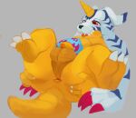  animal_skin anthro anus balls bandai_namco belly claws digimon digimon_(species) flaccid fur gabumon genitals horn male penis perineum red_eyes slightly_chubby solo spread_anus spread_legs spreading striped_body striped_fur stripes xyder yellow_body 