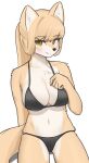  2022 anthro areola areola_slip bikini black_nose blep blush breasts camel_toe canid canine cleavage clothed clothing female female_anthro fox fur genital_outline hair hi_res jeifier kemono korfiorano looking_at_viewer mammal multicolored_body multicolored_fur navel pussy_outline solo swimwear tan_body tan_fur tan_hair tongue tongue_out two_tone_body two_tone_fur white_body white_fur yellow_eyes 