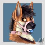  absurd_res anthro ball_gag bdsm bondage bound bsam buckle canid canine eldingo_(artist) fox furryart gag headshot hi_res jewelry male mammal necklace solo ych 