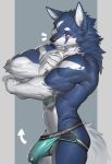  absurd_res anthro balls biceps blue_body blue_eyes blue_fur blush canid canine clothing erection fur genitals hair hi_res humanoid_genitalia humanoid_penis jockstrap male mammal muscular muscular_anthro muscular_male penis solo ty_arashi underwear white_body white_fur 