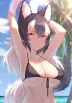  1girl :3 akuma_(st.takuma) animal_ear_fluff animal_ears armpits arms_up ball bangs bare_arms bare_shoulders beach beachball bikini black_bikini black_hair blue_eyes blue_sky breasts cleavage collarbone commentary_request day extra_ears front-tie_bikini front-tie_top grey_wolf_(kemono_friends) hair_between_eyes heterochromia highres kemono_friends large_breasts long_hair looking_at_viewer mole mole_on_breast multicolored_hair outdoors palm_tree sky smile solo swimsuit tree two-tone_hair upper_body white_hair wolf_ears wolf_girl wooden_table yellow_eyes 
