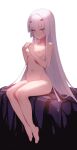  1girl absurdres bangs blush breasts brown_eyes collarbone completely_nude fairy_knight_lancelot_(fate) fate/grand_order fate_(series) forked_eyebrows highres jilu long_hair looking_at_viewer navel nipples nude sidelocks sitting small_breasts solo white_hair 