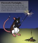 2022 4th_of_july ambiguous_gender black_eyes brown_body brown_fur burn claws cybercorn_entropic definition english_text featureless_crotch feral fire fireworks fur mammal murid murine night pie_cut_eyes rat rodent smoke solo sparkler text whiskers white_body white_fur 