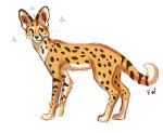  2022 ambiguous_gender digital_media_(artwork) felid feline feral flashlioness fur mammal paws serval simple_background smile solo spots spotted_body spotted_fur white_background yellow_eyes 