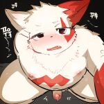  2022 absurd_res anthro belly blush genitals hi_res kemono male nintendo nipples overweight overweight_male penis pok&eacute;mon pok&eacute;mon_(species) red_body solo ssu_open video_games white_body zangoose 