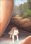  2022 4_toes ambiguous_gender brown_body brown_fur canid canine canis day detailed_background digital_media_(artwork) feet feral fur mammal oneminutesketch outside partially_submerged paws sky solo toes water white_body white_fur wolf 