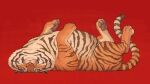  2022 black_body black_fur eyes_closed felid feral fur hi_res lying male mammal markings nisimawari on_back orange_body orange_fur overweight overweight_male pantherine pawpads pink_nose red_background shaded simple_background solo striped_body striped_markings striped_tail stripes tail_markings tiger whiskers white_body white_fur 