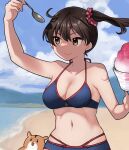  1girl admiral_(kancolle) alternate_costume anchor artist_self-insert beach bikini blue_bikini blue_sky breasts brown_eyes brown_hair cleavage cloud day hamster highres kaga_(kancolle) kantai_collection kirisawa_juuzou kirisawa_juuzou_(character) large_breasts long_hair non-human_admiral_(kancolle) ocean outdoors shaved_ice side_ponytail sky smile spoon swimsuit 