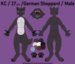  absurd_res anthro canid canine canis color_pallet domestic_dog furry g_shep german_shepherd herding_dog hi_res mammal model_sheet mouth_shot open_mouth pastoral_dog paw_shot paws raevi10 sheet_(disambiguation) 