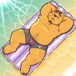  1:1 2022 absurd_res anthro armpit_hair belly black_nose body_hair bottomwear bulge ch_ia_ki clothing eyes_closed hi_res kemono lying male mammal navel outside overweight overweight_male shorts solo swimwear ursid water 