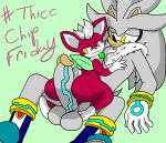  absurd_res anthro chip_(sonic) duo hi_res male male/male sega silver_the_hedgehog sonic_the_hedgehog_(series) sonic_unleashed weebusracoonus 