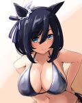  1girl animal_ears arms_behind_back bikini blue_bikini blue_eyes blush bob_cut breasts cleavage dark_blue_hair eishin_flash_(umamusume) hair_between_eyes horse_ears horse_girl large_breasts looking_at_viewer navel short_hair simple_background solo swimsuit tenten_(chan4545) three-toned_background umamusume upper_body white_background 