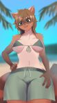  2022 anthro beach bikini bikini_top black_nose blurred_background breasts brown_body brown_fur brown_hair bulge clothing day detectiveneko digital_media_(artwork) facial_markings fur green_eyes gynomorph hair hand_on_hip head_markings herm_(lore) hi_res intersex leg_markings mammal markings mask_(marking) navel open_mouth outside palm_tree plant procyonid raccoon runa_ravnsdal sand seaside smile solo swimming_trunks swimwear tree water wide_hips 