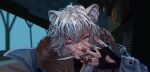  1boy ahoge animal_ear_fluff animal_ears arknights bandaid bandaid_on_arm bear_boy bear_ears bishounen black_gloves blue_eyes fur_collar gloves grey_hair highres huanhongtiancai jaye_(arknights) male_focus short_hair solo upper_body 