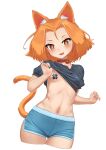  1girl absurdres animal_ear_fluff animal_ears bangs bell black_shirt blue_shorts blush breasts carbon12th cat_ears cat_girl cat_tail clothes_lift collar collarbone dolphin_shorts forehead highres jingle_bell looking_at_viewer navel one_breast_out open_mouth orange_eyes orange_hair original parted_bangs pasties shirt shirt_lift short_hair short_shorts short_sleeves shorts small_breasts smile solo tail thighs 