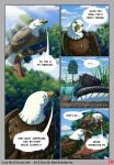  accipitrid accipitriform avian bald_eagle bird bitterstrawberries blush comic digital_media_(artwork) eagle eavesdropping feathers female feral from_behind_position group hi_res laurel_(bitterstrawberries) loon nest perching_position plant sea_eagle sex tree trio zandra_(bitterstrawberries) 