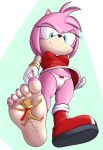  2022 5_toes amy_rose anthro black_nose blue_eyes clothing digital_media_(artwork) duo eulipotyphlan eyelashes eyes_closed feet female foot_fetish foot_focus footwear fours_(artist) gloves handwear hedgehog hi_res humanoid_feet mammal mouse murid murine rodent scarf sega simple_background smile soles sonic_the_hedgehog_(series) toes underfoot 