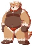  2022 anthro asian_clothing belly big_belly black_nose blush brown_body bulge canid canine clothing cute_fangs dosanco15 east_asian_clothing fundoshi hi_res humanoid_hands japanese_clothing kemono male mammal moobs navel nipples overweight overweight_male red_clothing red_fundoshi red_underwear simple_background solo underwear white_background 