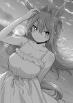  1girl alternate_hairstyle animal_ears arm_up bangs bare_shoulders blush bow breasts cleavage closed_mouth collarbone daiwa_scarlet_(umamusume) dress dutch_angle greyscale hair_between_eyes hair_bow hair_down hair_intakes horizon horse_ears horse_girl horse_tail large_breasts long_hair looking_at_viewer monochrome outdoors shibasaki_shouji sleeveless sleeveless_dress solo sunset tail umamusume 