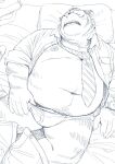  2022 anthro bed belly big_belly bottomwear bottomwear_down clothed clothing felid furniture hi_res humanoid_hands huynhduyad14 kemono lying male mammal moobs navel nipples open_clothing open_shirt open_topwear overweight overweight_male pantherine pants pants_down partially_clothed pillow shirt sleeping solo tiger topwear underwear 