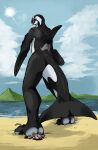  anthro beach black_body black_tail blood blue_sky bodily_fluids cetacean cloud death delphinoid dorsal_fin duo fin foot_crush forked_tail fur gore grey_body grey_fur imperatorcaesar lying male mammal marine mouse murid murine oceanic_dolphin on_front orca rear_view rodent seaside size_difference sky sun toothed_whale unusual_anatomy unusual_tail white_body white_tail 