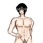  bara breasts fushiguro_touji highres jujutsu_kaisen md5_mismatch mikasocs nipples pale_skin pectorals pubic_hair scar scar_on_face smirk 