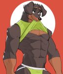  2022 abs anthro brown_body brown_fur canid canine canis clothed clothing clothing_lift domestic_dog fur hi_res jockstrap jrjresq male mammal multicolored_body multicolored_fur muscular muscular_anthro muscular_male shirt shirt_in_mouth shirt_lift simple_background solo teeth topwear two_tone_body two_tone_fur underwear 
