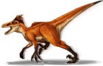  ambiguous_gender dinosaur feral head_feathers imperatorcaesar open_mouth orange_body orange_scales orange_tail red_tongue reptile running scales scalie sharp_teeth side_view simple_background solo tan_sclera tan_tail teeth tongue white_background 