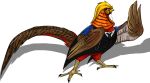  ambiguous_gender avian biped bird brown_body brown_feathers brown_tail_feathers brown_wings feathered_wings feathers feral imperatorcaesar leg_markings markings orange_body socks_(marking) solo tail_feathers wings 