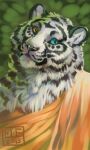  anthro buddhism felid male mammal monk pantherine shakara solo tiger 