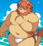  2022 anthro belly big_belly blush bulge cloud felid genital_outline hi_res kemono lifewonders lion male mammal moobs navel nipples overweight overweight_male oz_(tas) pantherine penis_outline ptcmtr solo tokyo_afterschool_summoners video_games water 